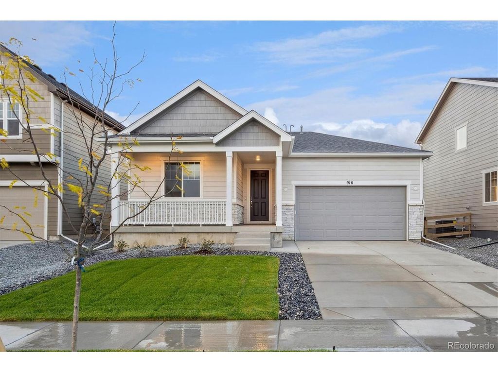 916 Steppe Ln, Windsor, CO 80550