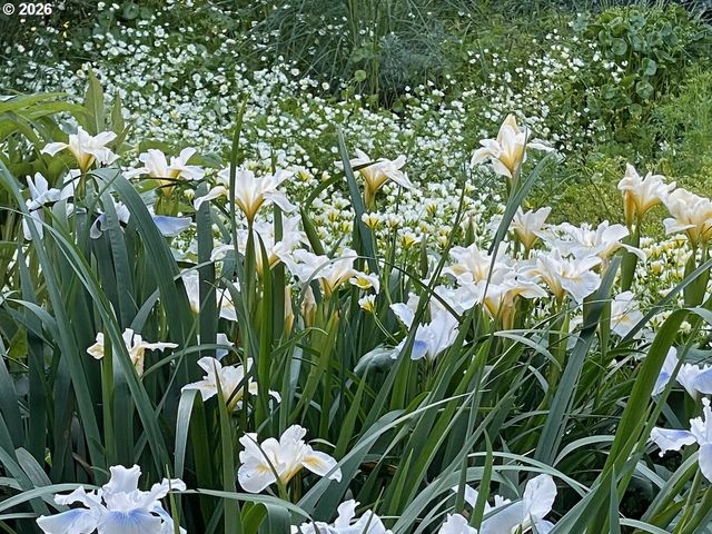 1928 Ne 63RD Ave, Portland, OR 97213