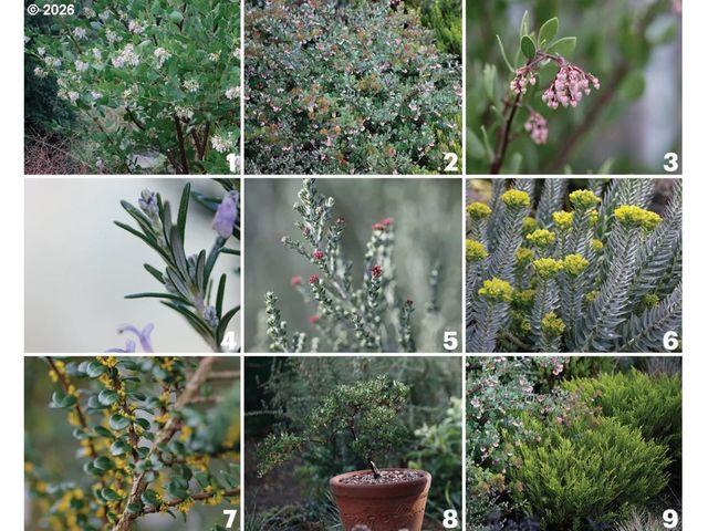 1928 Ne 63RD Ave, Portland, OR 97213