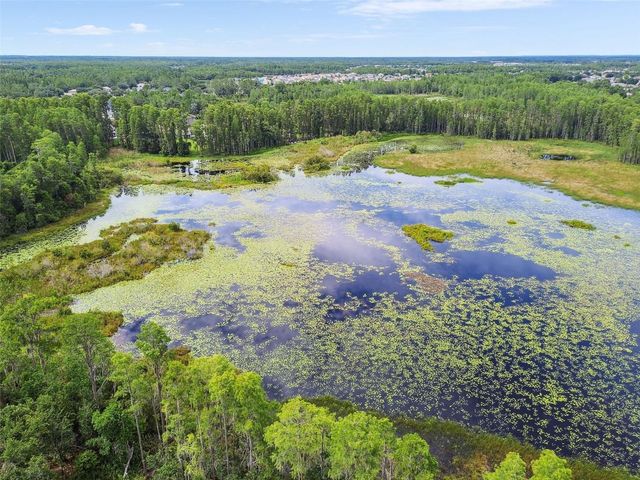 21511 WILDERNESS LAKE BOULEVARD, Land O Lakes, FL 34637