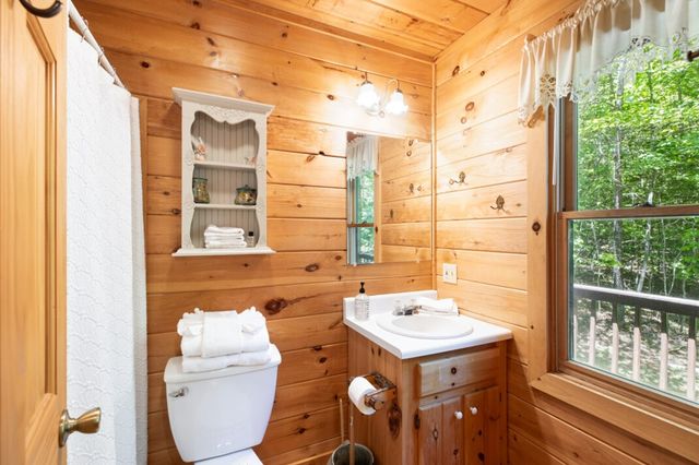 166 Lake Ridge Drive, Blue Ridge, GA 30513