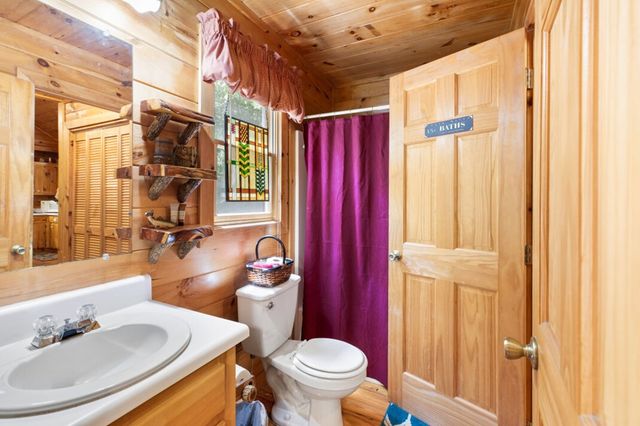 166 Lake Ridge Drive, Blue Ridge, GA 30513