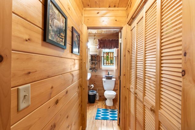 166 Lake Ridge Drive, Blue Ridge, GA 30513