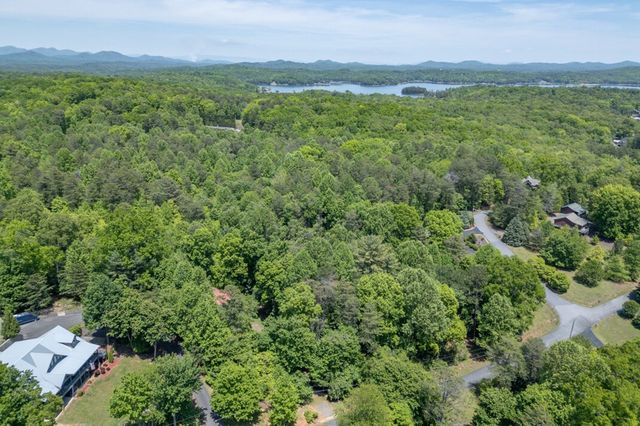 166 Lake Ridge Drive, Blue Ridge, GA 30513