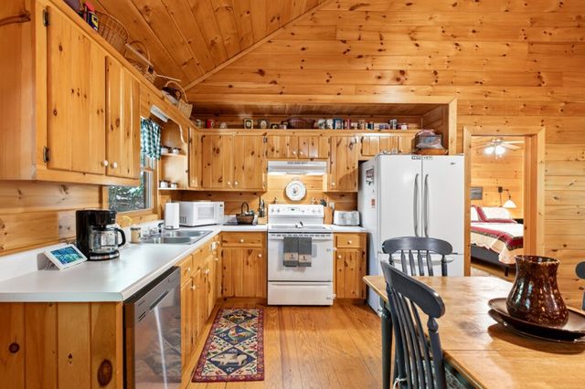 166 Lake Ridge Drive, Blue Ridge, GA 30513