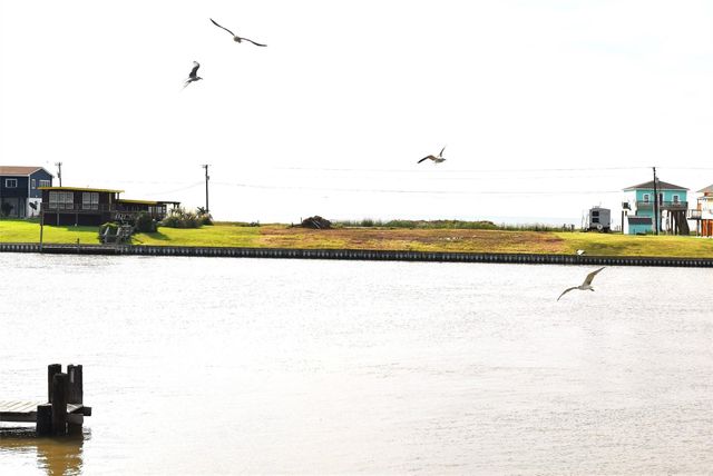 235 & 0 County Road 230, Sargent, TX 77414