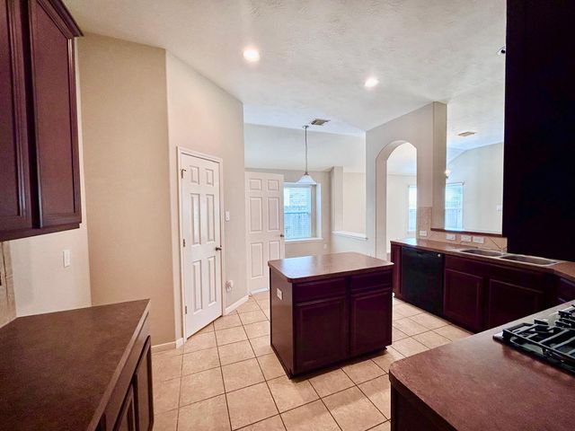 25918 Silver Timbers Lane, Katy, TX 77494