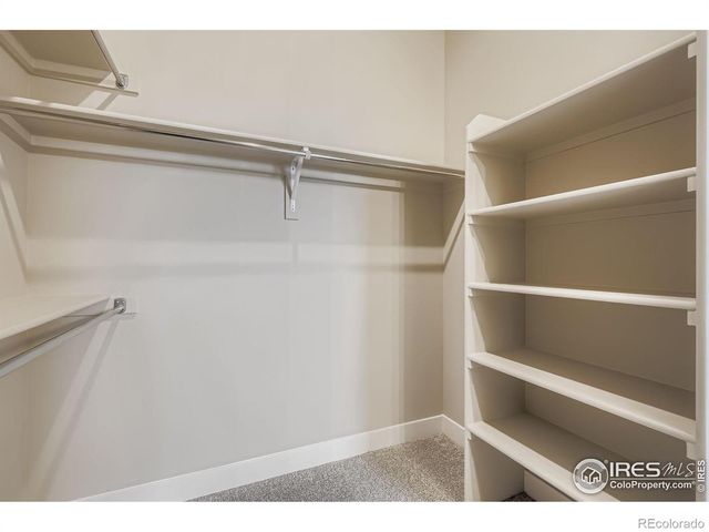 1814 Cord Grass Drive, Fort Collins, CO 80524