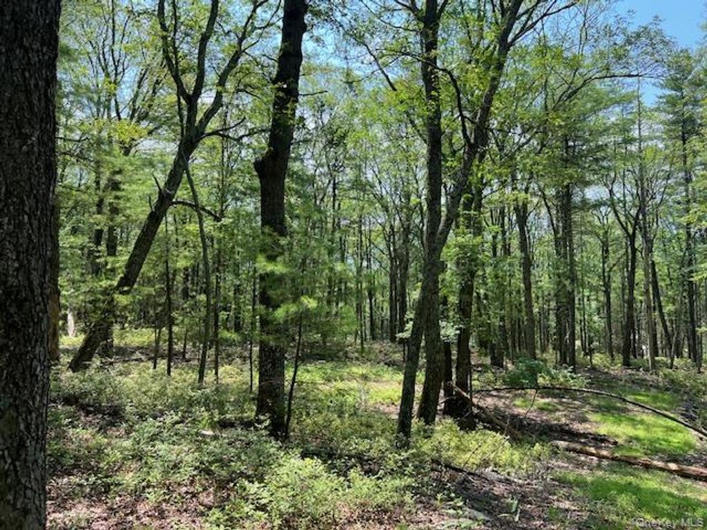 Lot 7 Sunflower Drive, Glen Spey, NY 12737