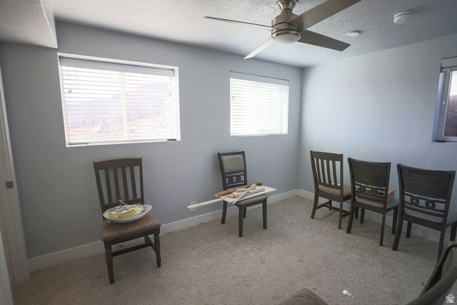 422 W BUCKEYE REEF RD, Leeds, UT 84746