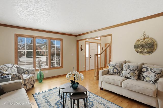 17050 Kerry Avenue, Orland Park, IL 60467