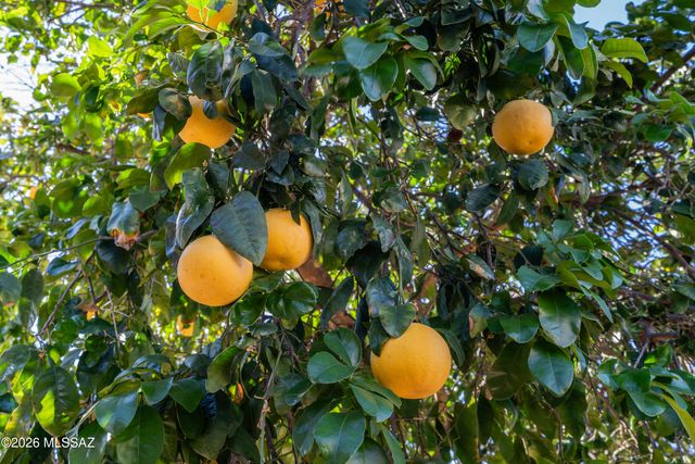 1109 N Desert Deer Pass, Green Valley, AZ 85614