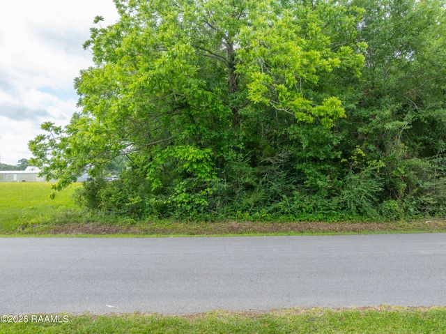 Tbd Chargois Street, Maurice, LA 70555