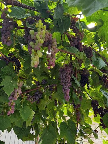 6706 83rd Lane SE, Olympia, WA 98513