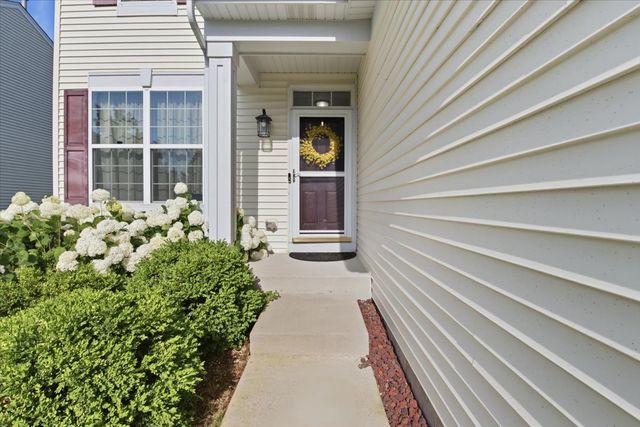 163 EASTON Drive, Gilberts, IL 60136