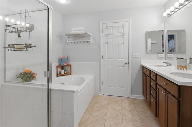 163 EASTON Drive, Gilberts, IL 60136