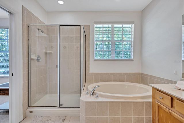14511 MIRABELLE VISTA CIRCLE, Tampa, FL 33626