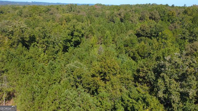 698 Butch Art Place, South Fulton, GA 30213