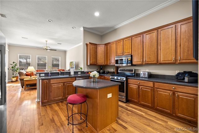 283 S Paladinn Circle, Inverness, FL 34453