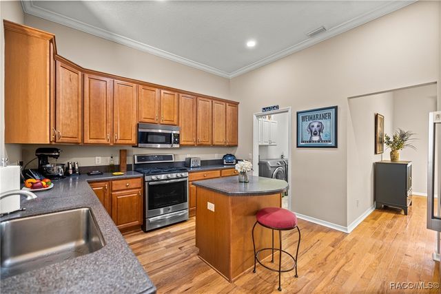 283 S Paladinn Circle, Inverness, FL 34453