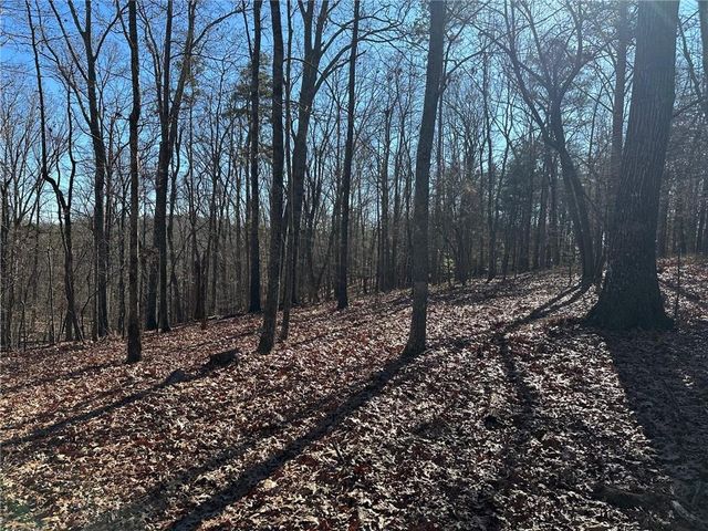 0 Charlie Lemley Road, Dawsonville, GA 30534