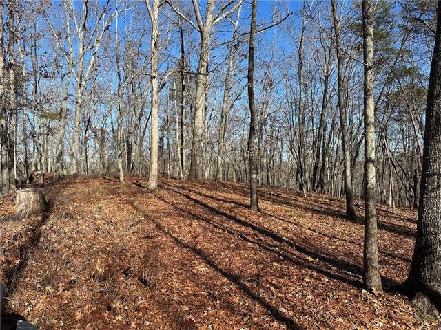 0 Charlie Lemley Road, Dawsonville, GA 30534