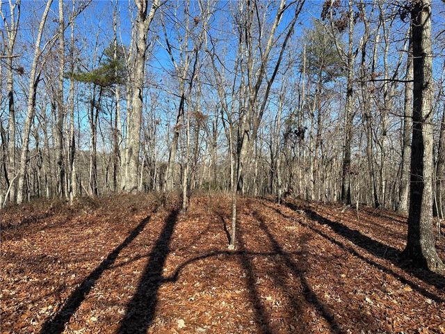 0 Charlie Lemley Road, Dawsonville, GA 30534