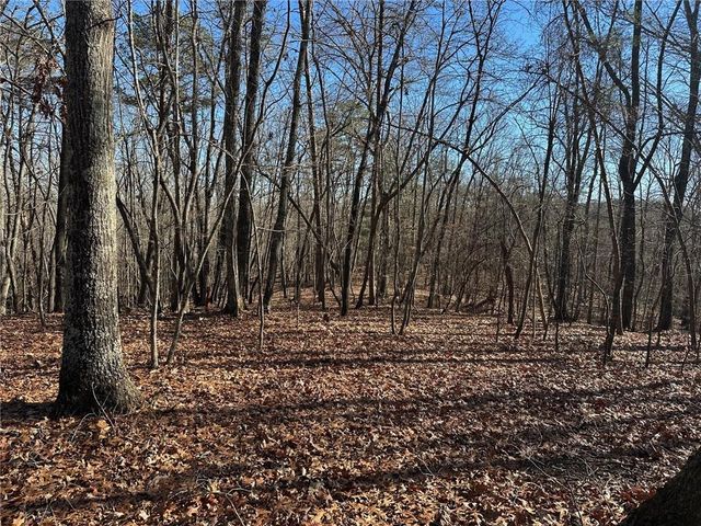 0 Charlie Lemley Road, Dawsonville, GA 30534