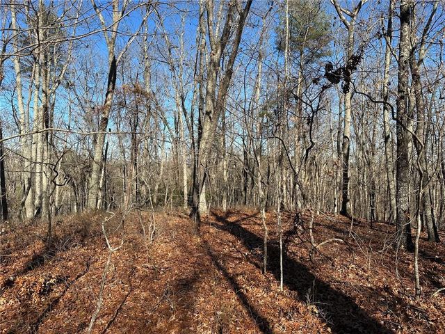 0 Charlie Lemley Road, Dawsonville, GA 30534