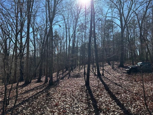 0 Charlie Lemley Road, Dawsonville, GA 30534