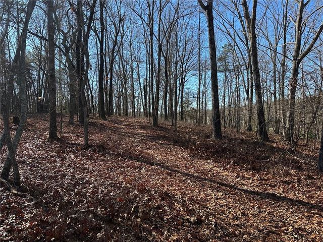 0 Charlie Lemley Road, Dawsonville, GA 30534