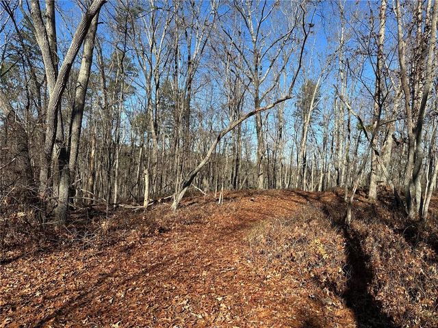 0 Charlie Lemley Road, Dawsonville, GA 30534