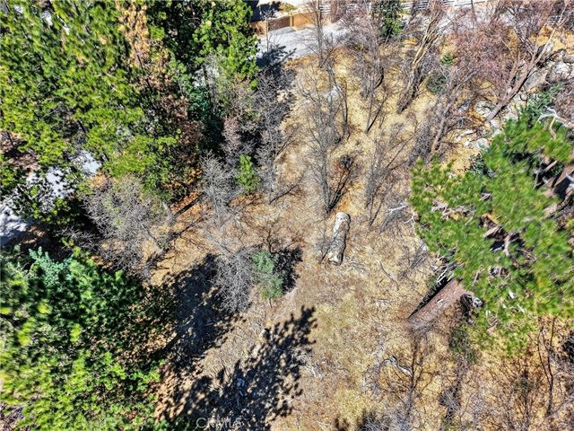 0 Cepu Road, Running Springs, CA 92382