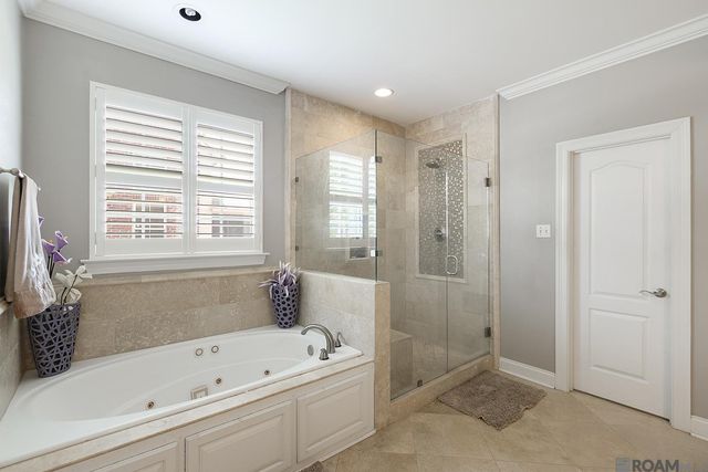18249 Manchac Place Dr, Prairieville, LA 70769