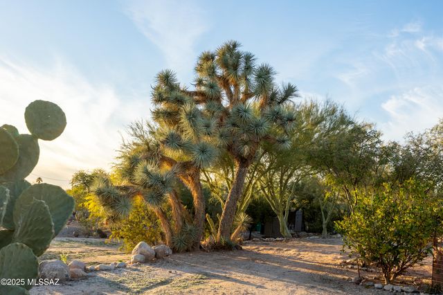 1115 W Giaconda Way, Tucson, AZ 85704