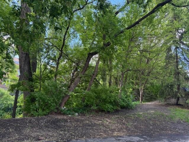 246 3rd Avenue NE, Minneapolis, MN 55413