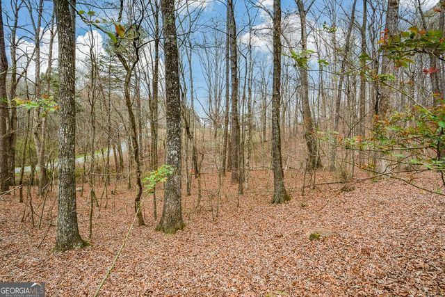 883 Tilley Road, Talking Rock, GA 30175