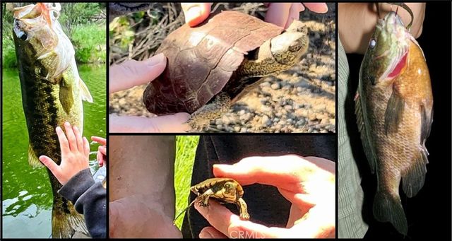 76450 Deer Pass Road, Bradley, CA 93426