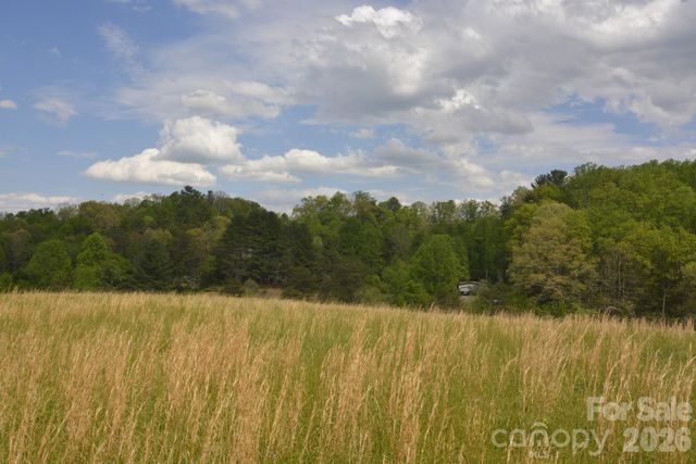 16 Rocking Chair Lane, Leicester, NC 28748