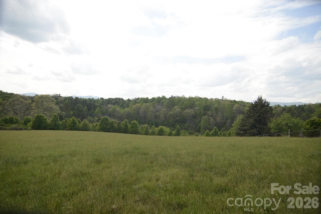 16 Rocking Chair Lane, Leicester, NC 28748