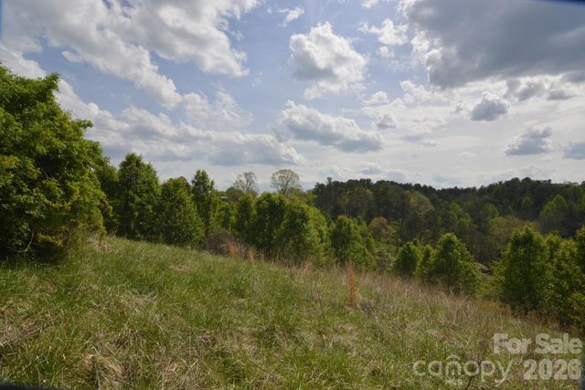 16 Rocking Chair Lane, Leicester, NC 28748