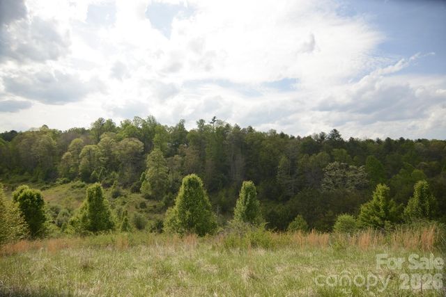 16 Rocking Chair Lane, Leicester, NC 28748