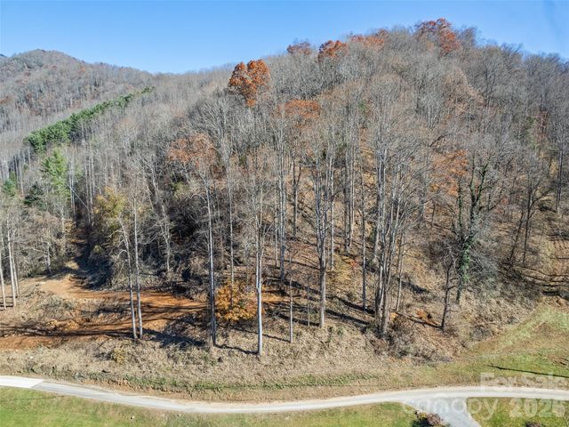 Tract 4: Lot 5 White Birch Drive, Sylva, NC 28779