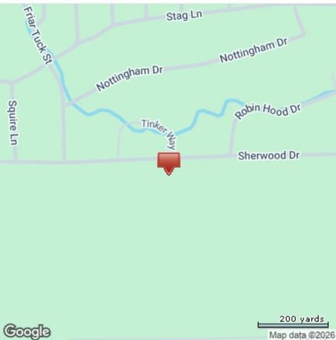 000 Sherwood Drive, Shepherd, TX 77371