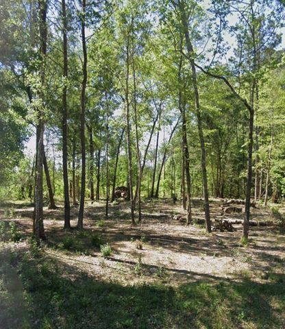 000 Sherwood Drive, Shepherd, TX 77371