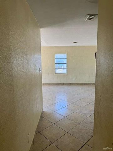 0 E Lott Road, Donna, TX 78537