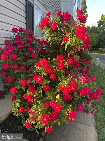 13480 STANTON PL, Herndon, VA 20171