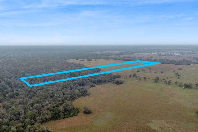 CR 123 - Tract 4, Bedias, TX 77831