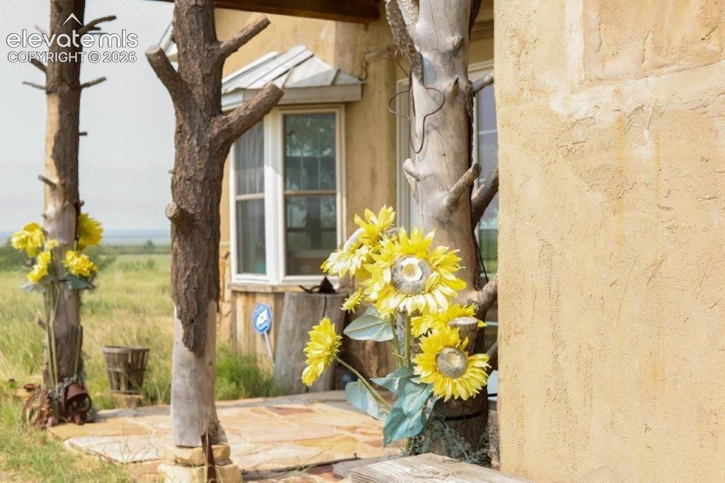 30870 County Road 30, Mc Clave, CO 81057 — photo 4