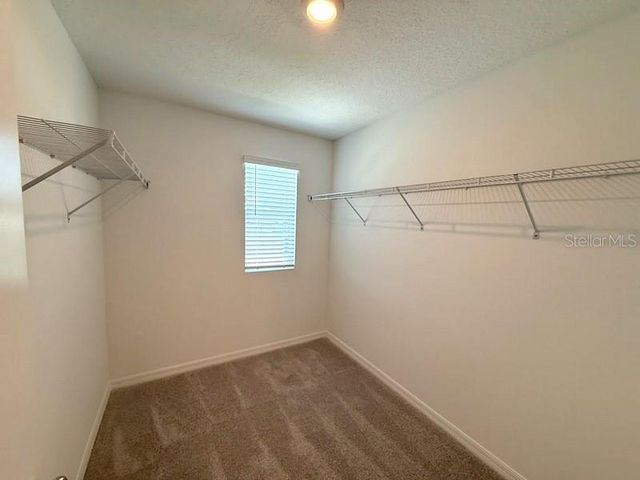 11708 NOBLE BLOSSOM LOOP, Dade City, FL 33525